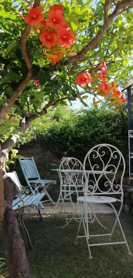 La Porta Sulla Costa Bed and Breakfast San Pantaleo Exteriör bild