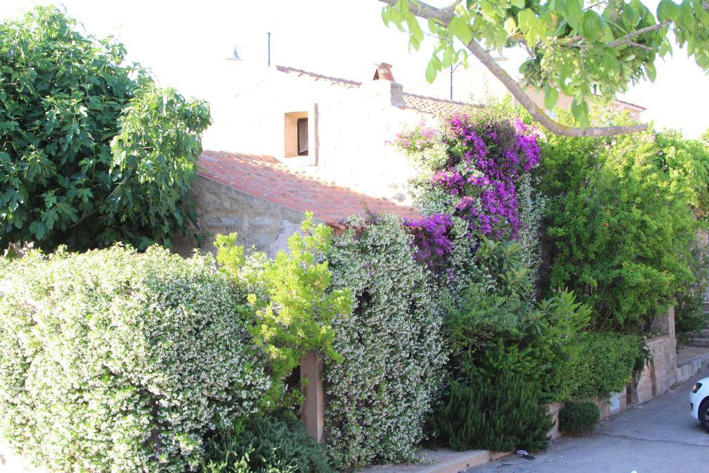 La Porta Sulla Costa Bed and Breakfast San Pantaleo Exteriör bild